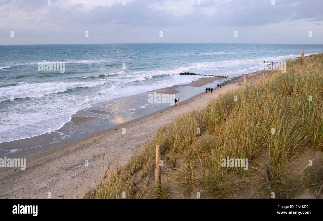 Beach at Skagen, Denmark Stock Photo - Alamy