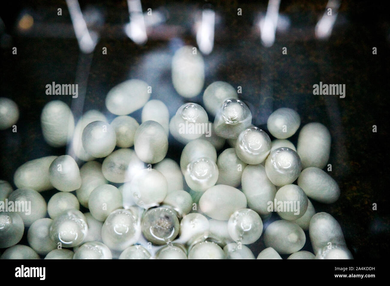 Yuanlong silk hi-res stock photography and images - Alamy
