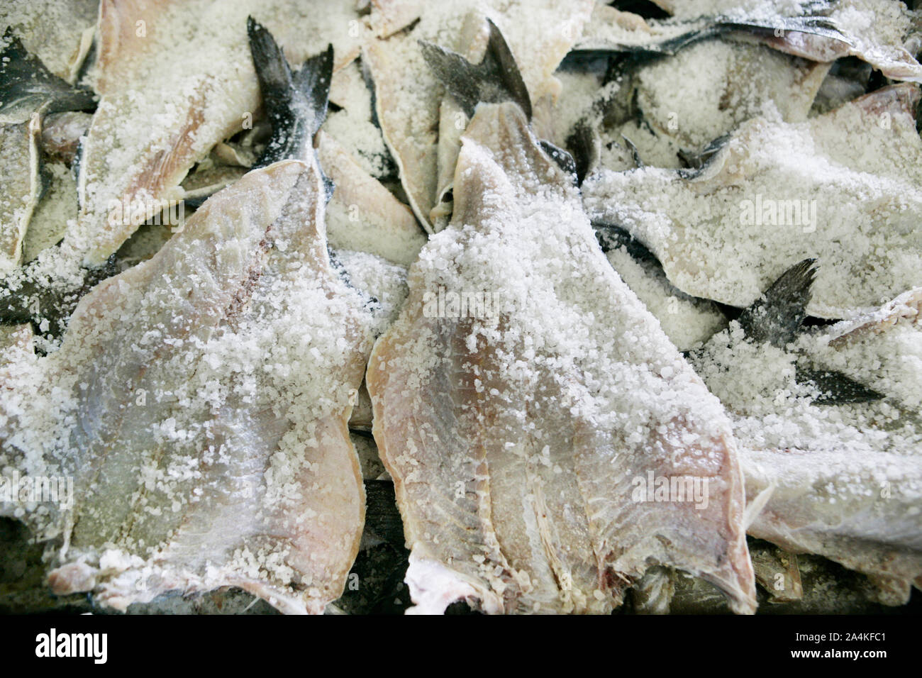 Drying cod in RÂØst stockfish Stock Photo Alamy