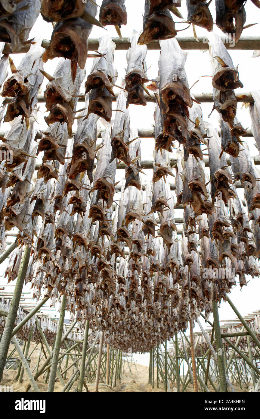 Drying racks in RÂØst Stock Photo - Alamy