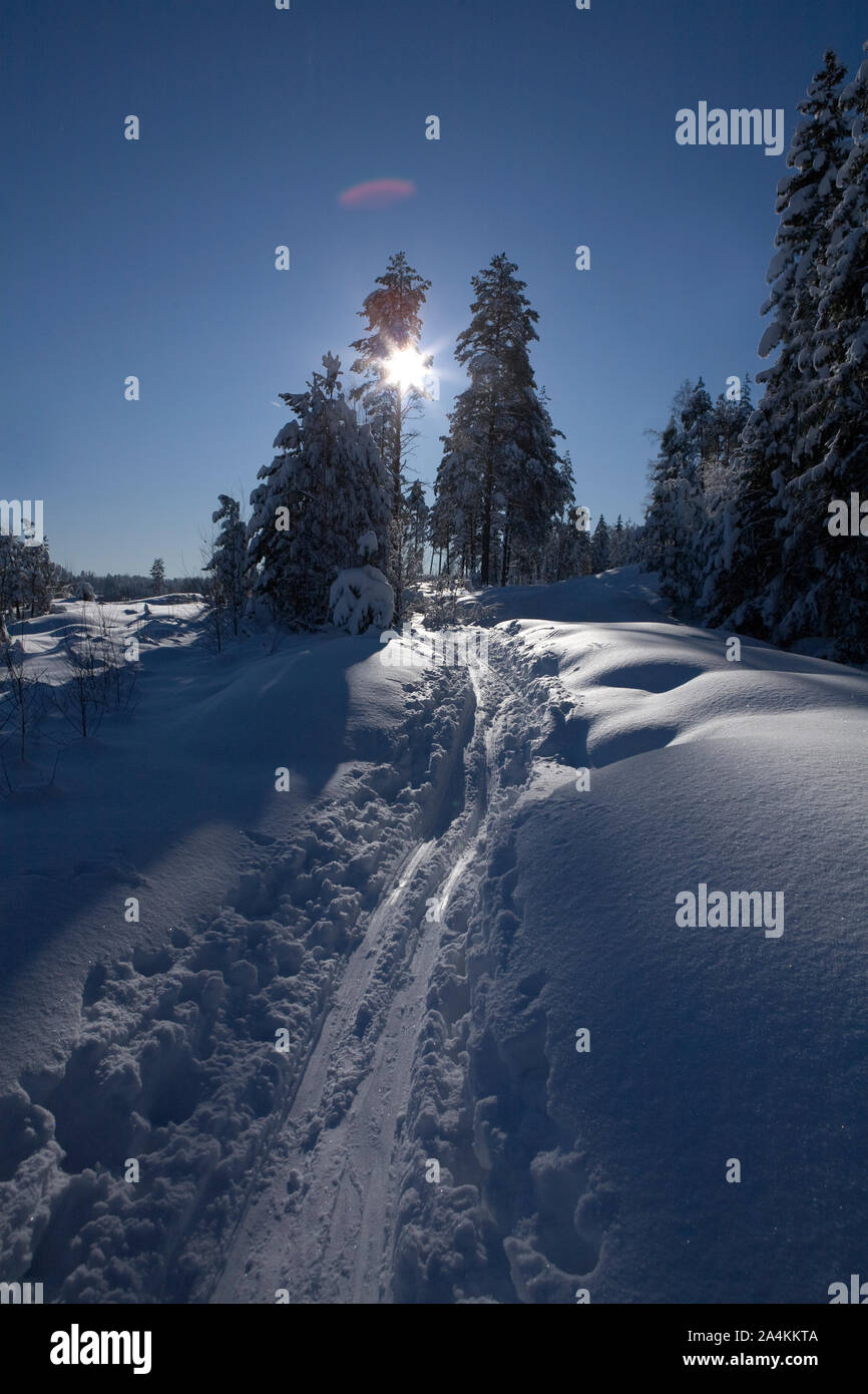 Ski tracks in winter landscape Stock Photo