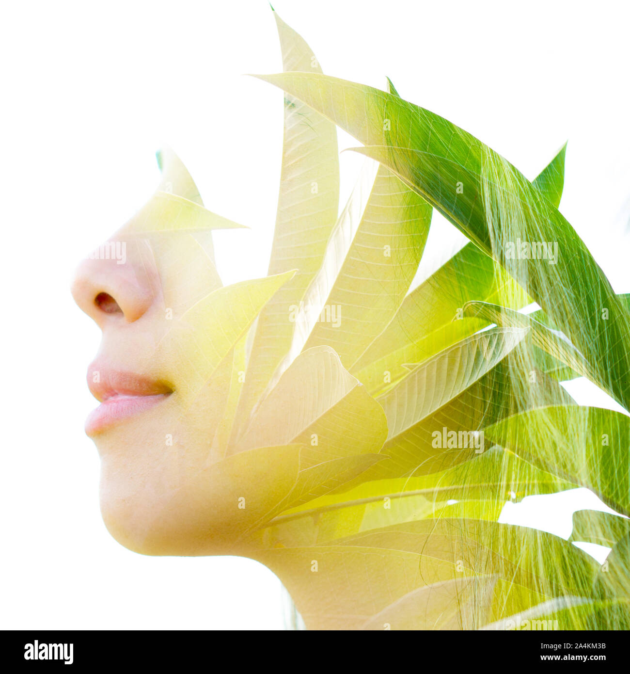 Double exposure with an ecological concept showcasing the beautiful