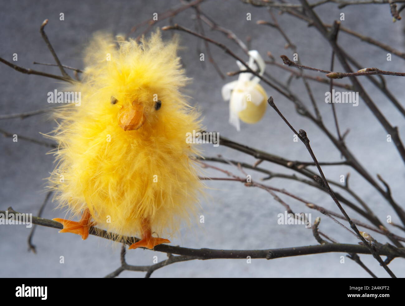 Easter chicken Stock Photo