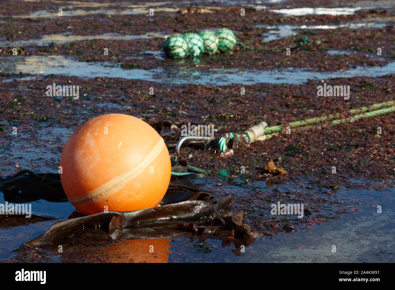 Buoy and rope on the sand for boat mooring Stock Photo Alamy