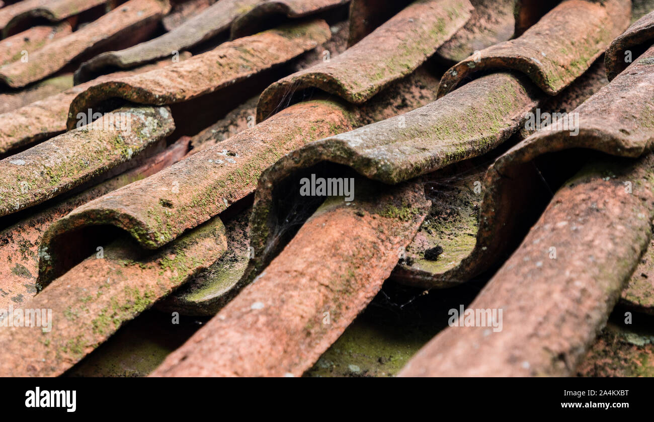 Broken terracotta tiles hi-res stock photography and images - Alamy