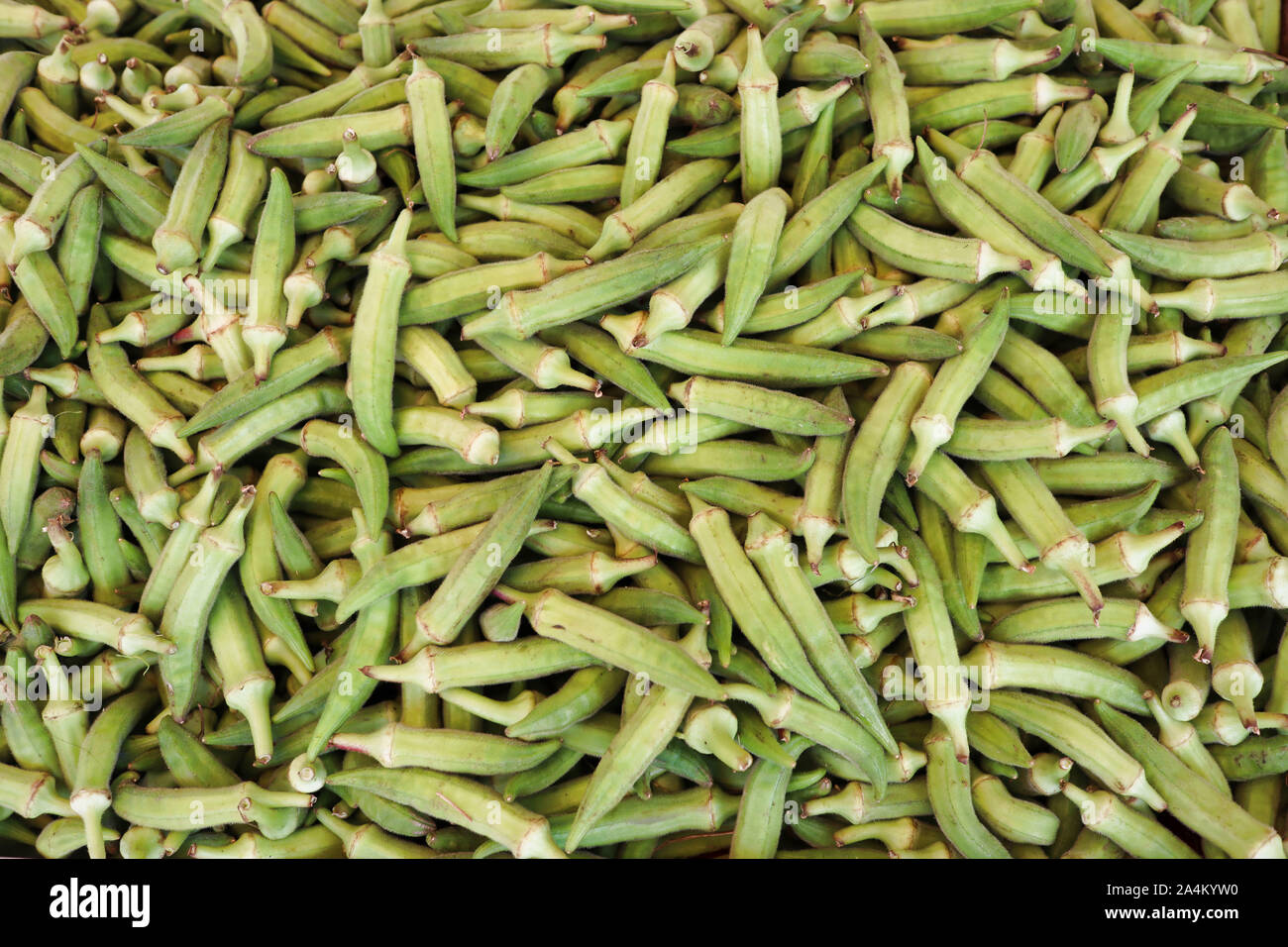 A pile of okra, ladies fingers Stock Photo