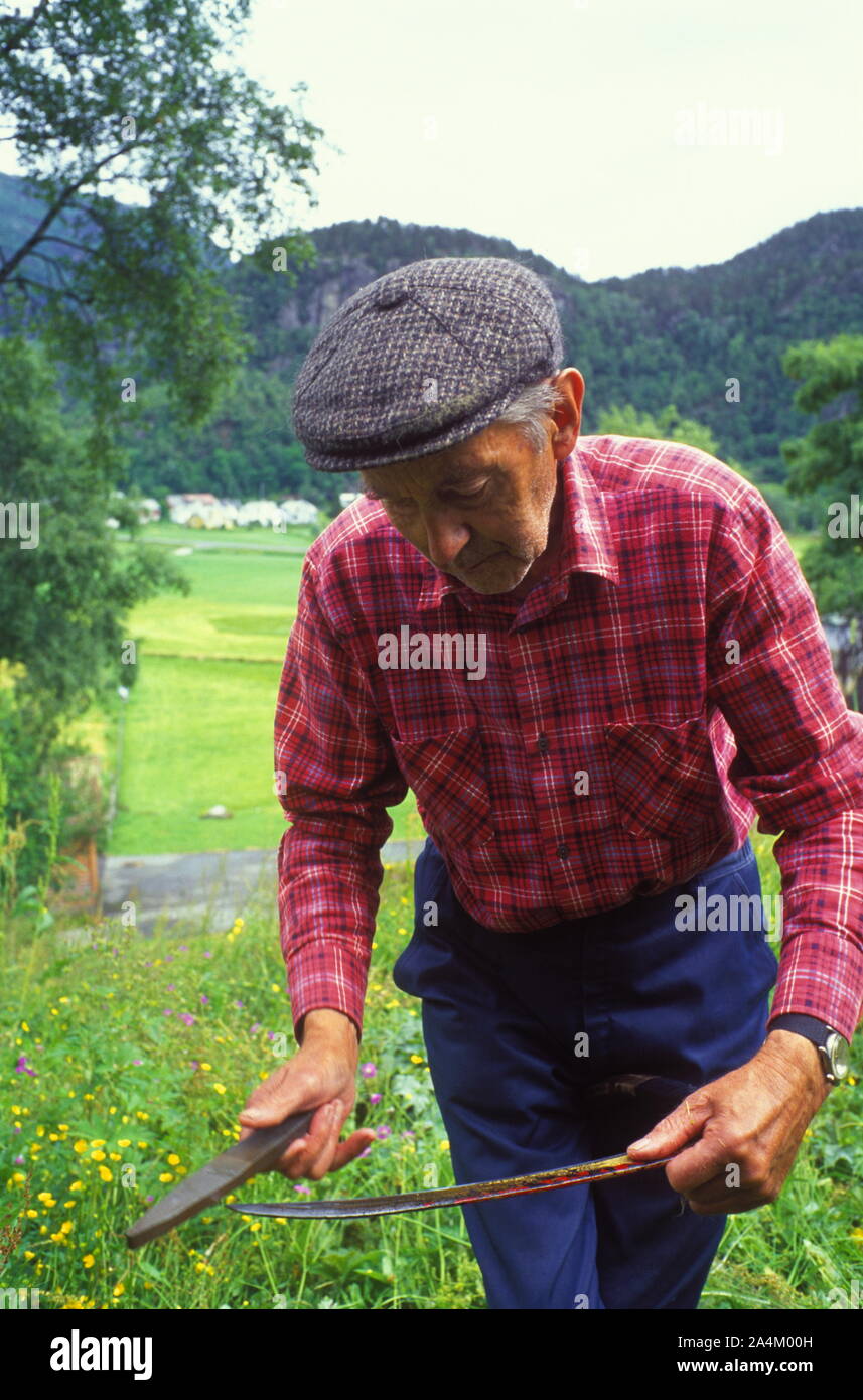 A farmer sharpening the scythe to cut the grass Stock Photo Alamy