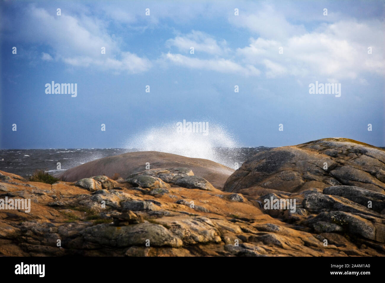 Coast of Hankø Stock Photo - Alamy