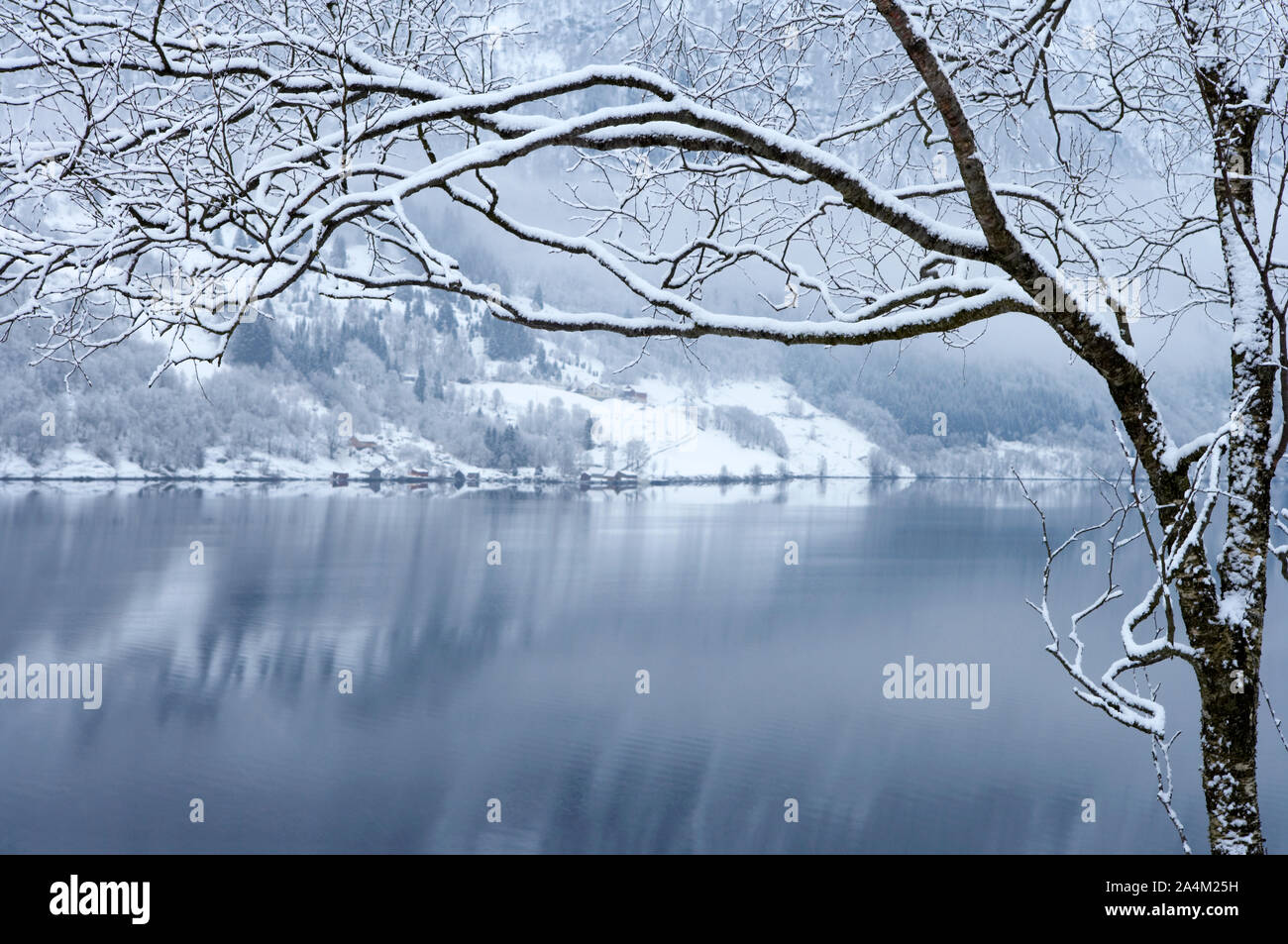 Fjords of winter hi-res stock photography and images - Alamy