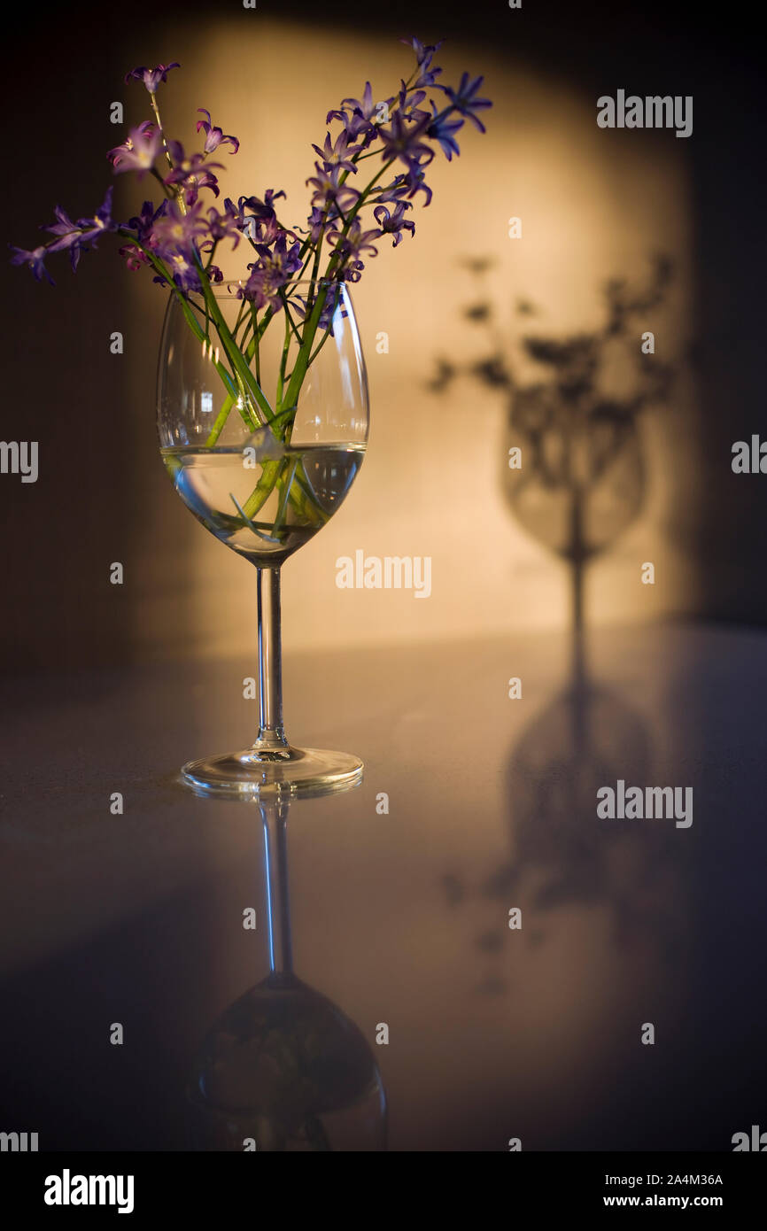 Purple flowers in a wine glass Stock Photo Alamy