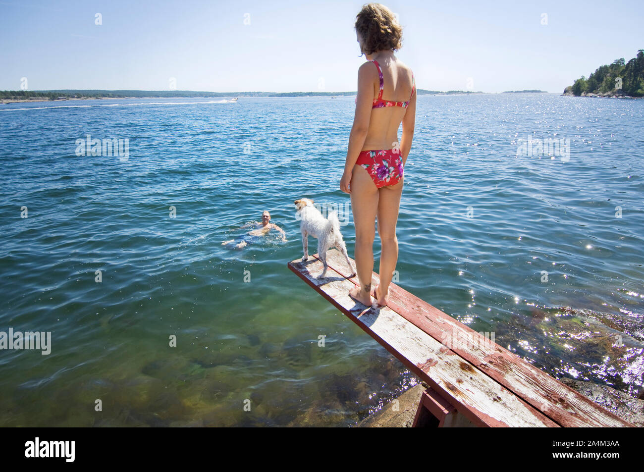 Woman in bikini on diving board in Norway Stock Photo - Alamy
