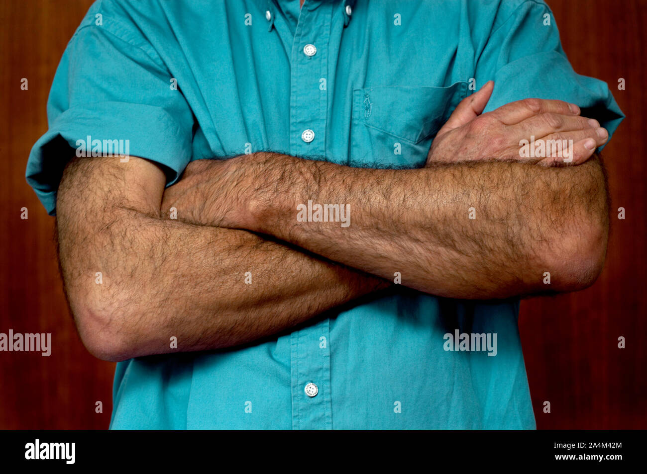 Hairy bodies hires stock photography and images Alamy