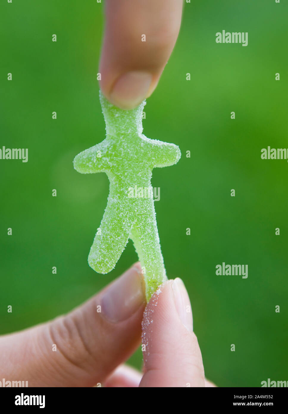 Womans hands holding green jelly man Stock Photo