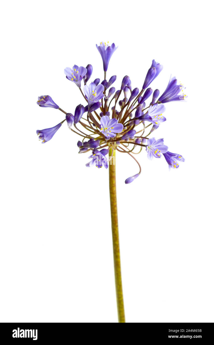 Studio 1 hi-res stock photography and images - Alamy