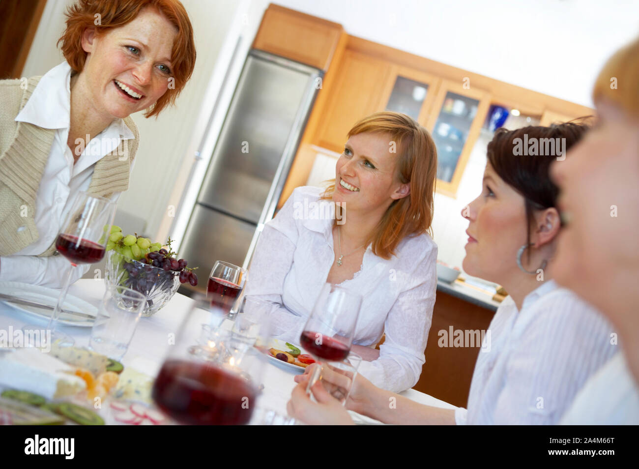 Women at the table - girls' night Stock Photo
