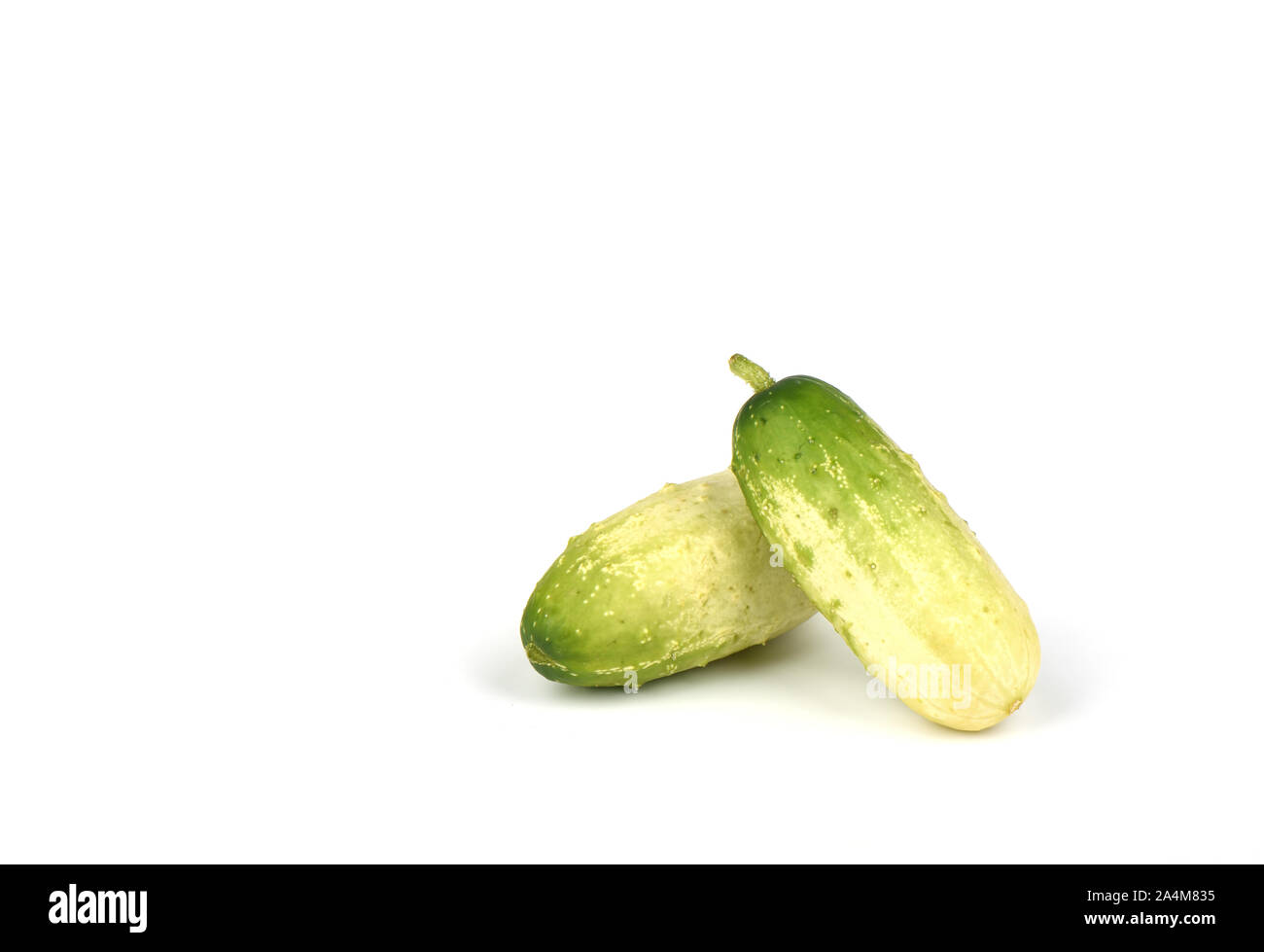 Cucumbers. Two organic small cucumbers isolated on white background. Cucumbers for cocktail. Stock Photo