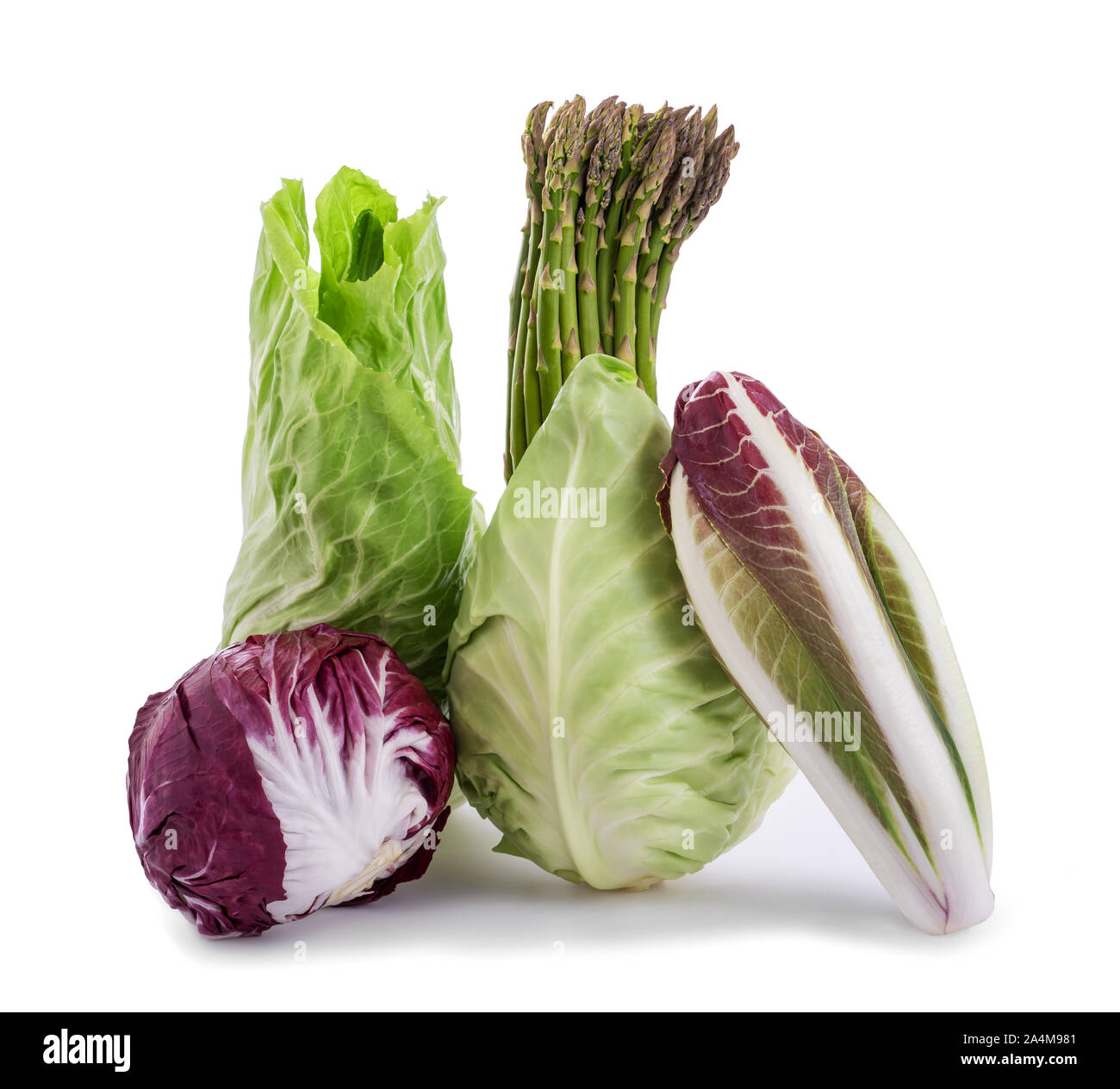 Chicory asparagus radicchio end salad isolated on white Stock Photo