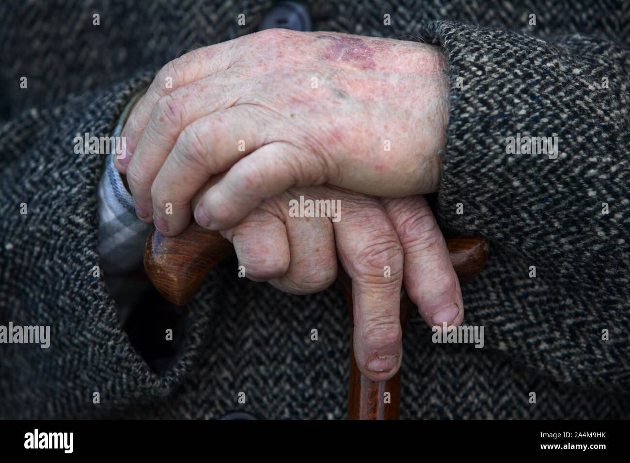 Aged man's hands Stock Photo