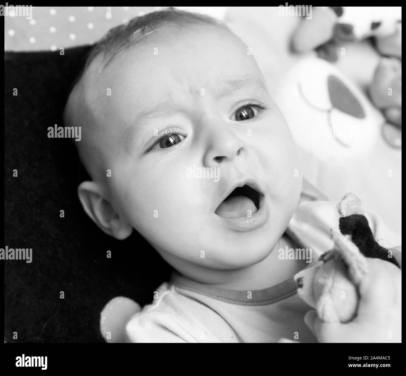 Portrait of a baby boy Stock Photo - Alamy