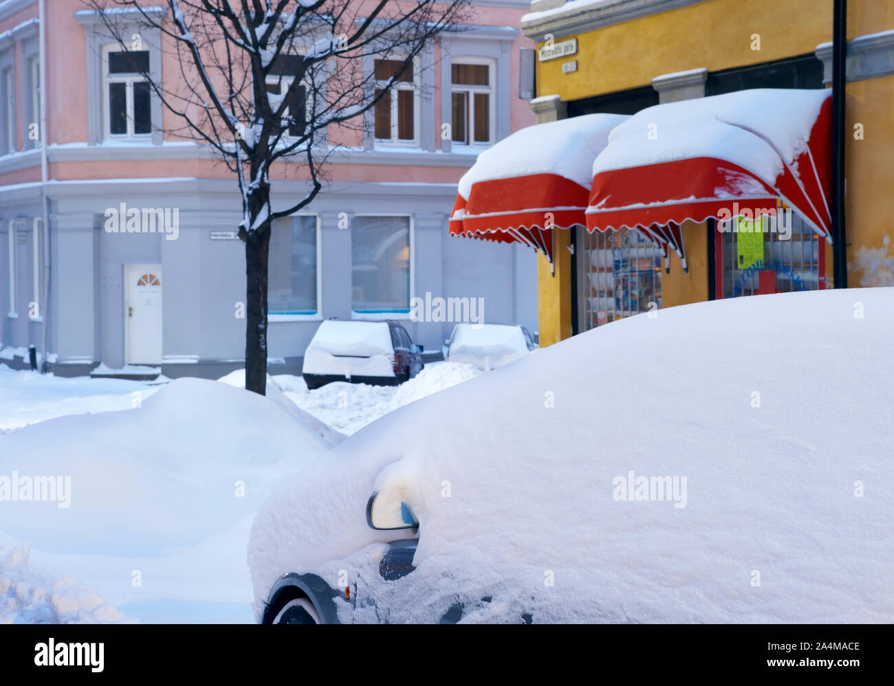 Cars covered in snow Stock Photo Alamy