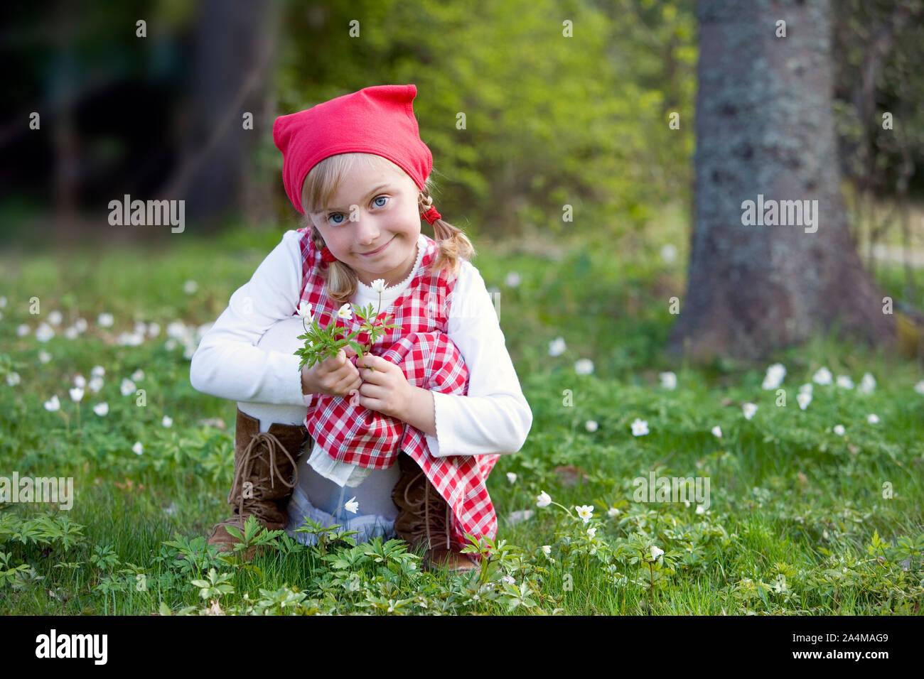 Lille rødhette little red hood Stock Photo - Alamy