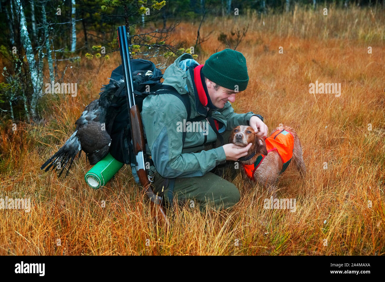 Bird hunting - hunter - carrying the dead Capercaillie Stock Photo