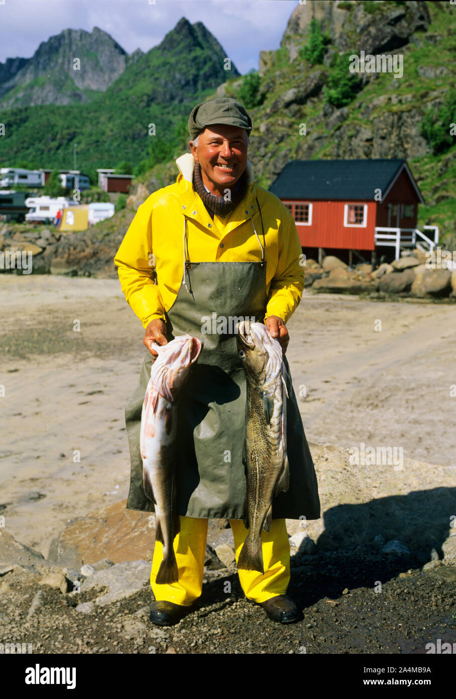 Leisure fishing. Wearing an apron. Sandvika in Lofoten, Nordland Stock  Photo - Alamy