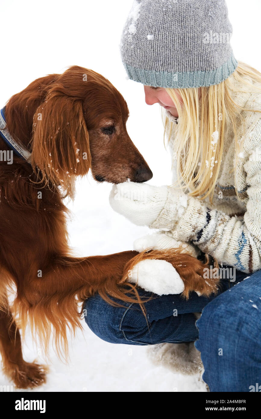 Woman with irish setter in snow Stock Photo