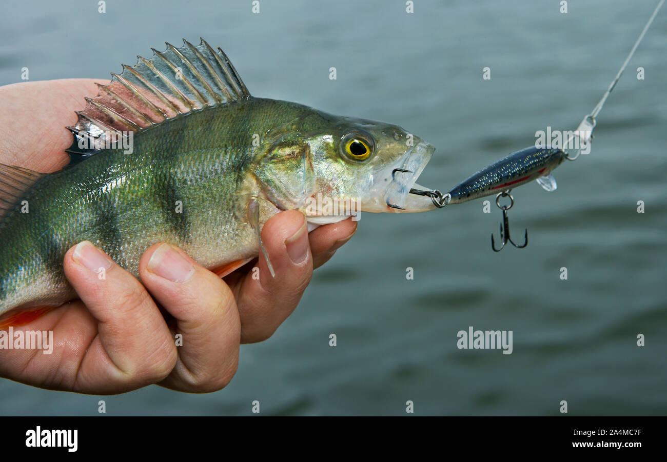 Leisure fishing Stock Photo