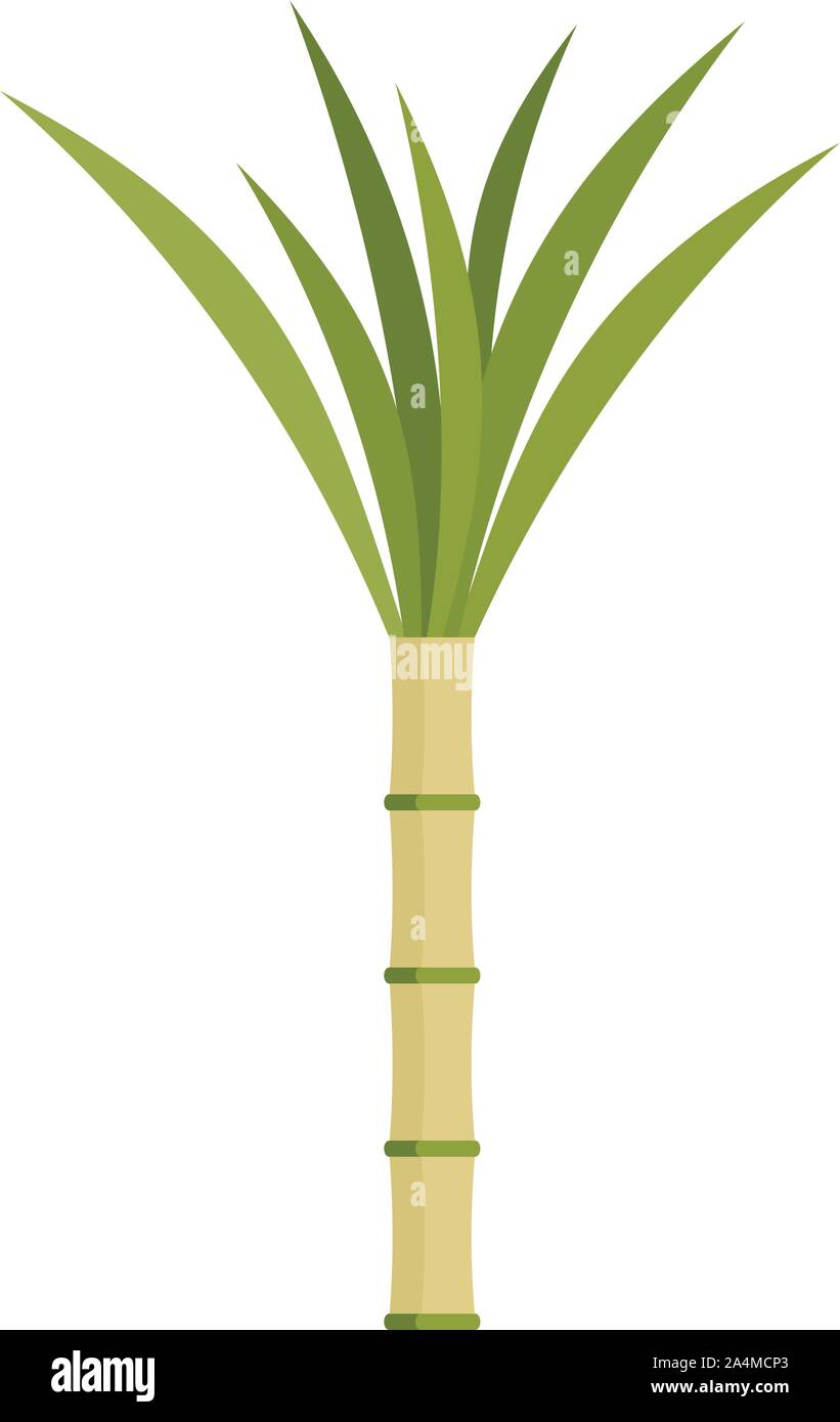 Eco plant cane icon. Flat illustration of eco plant cane vector icon ...