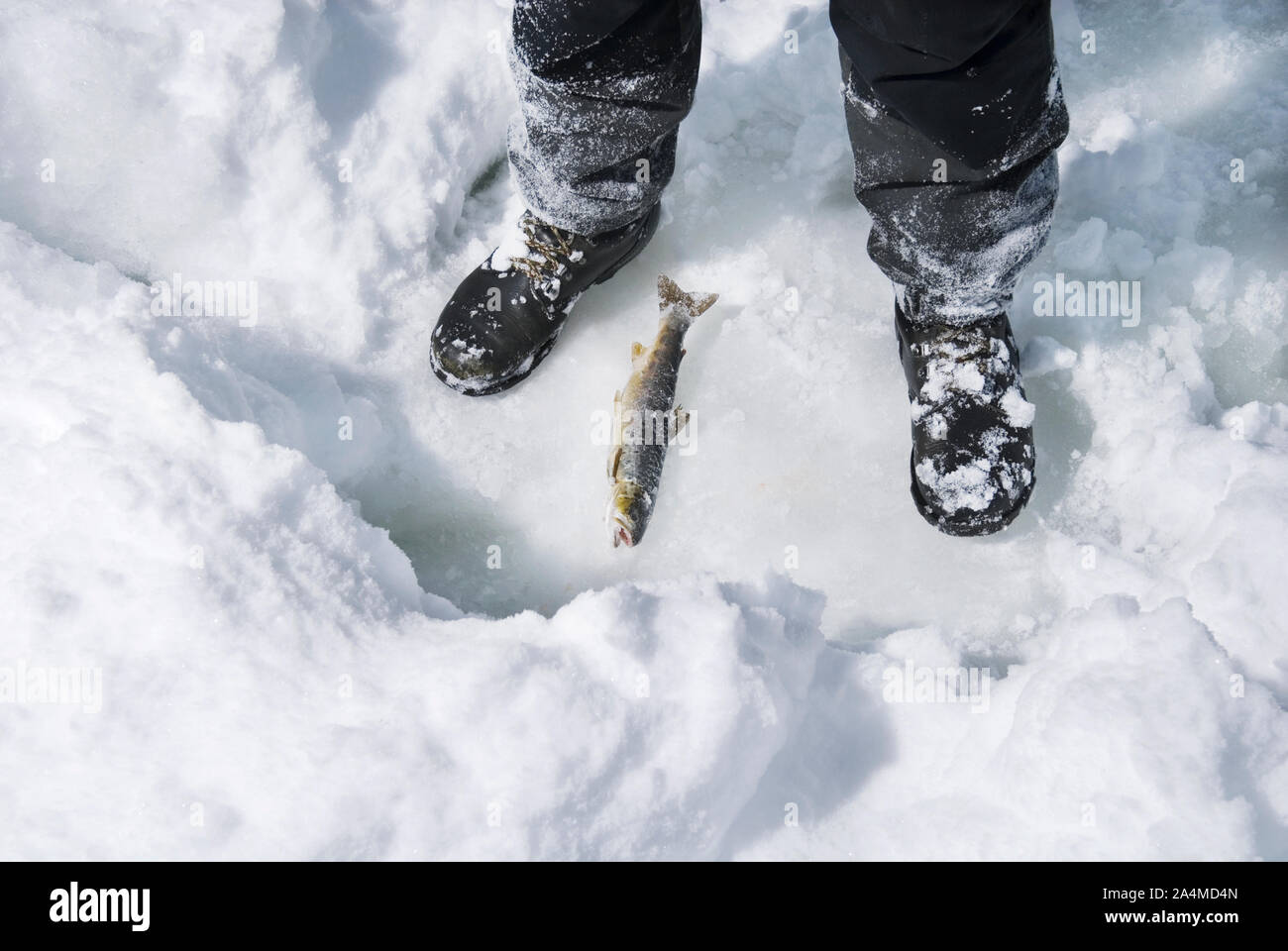 Ice fishing on lake Stock Photo Alamy