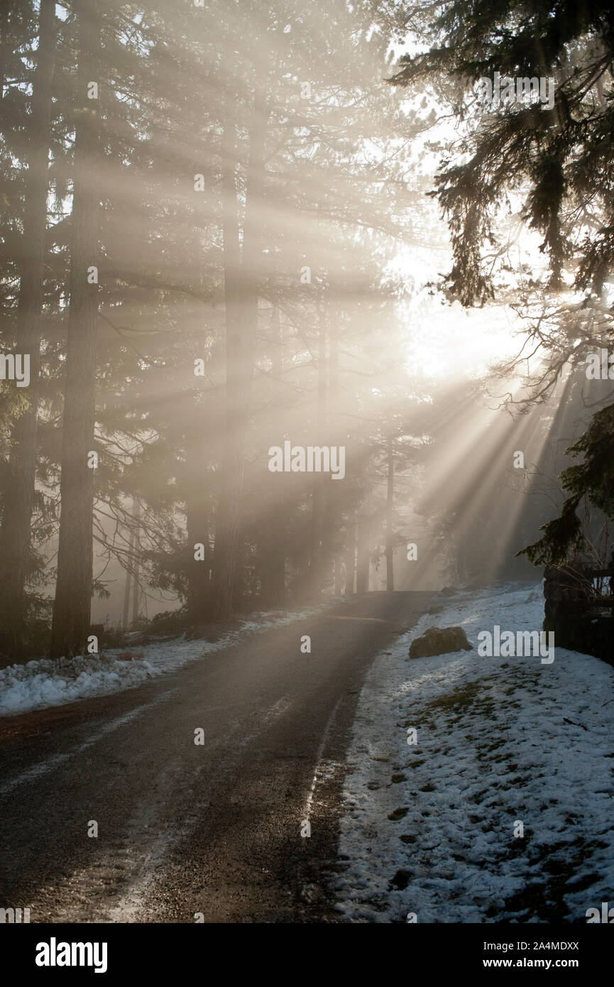 Sunbeam Over The Country Side Road In Winter Stock Photo