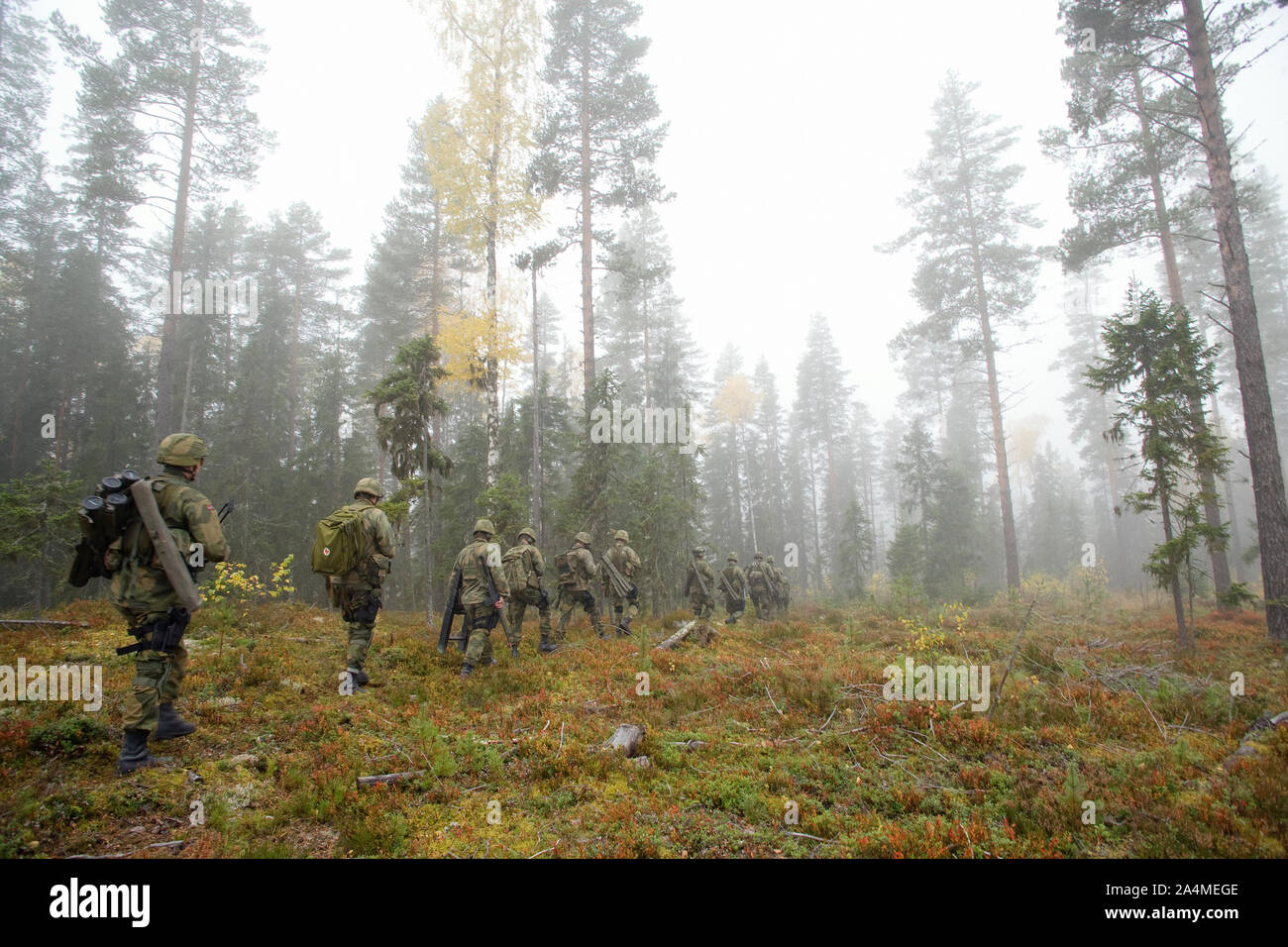 Military exercise in forest. Soldiers walking in forest Stock Photo - Alamy