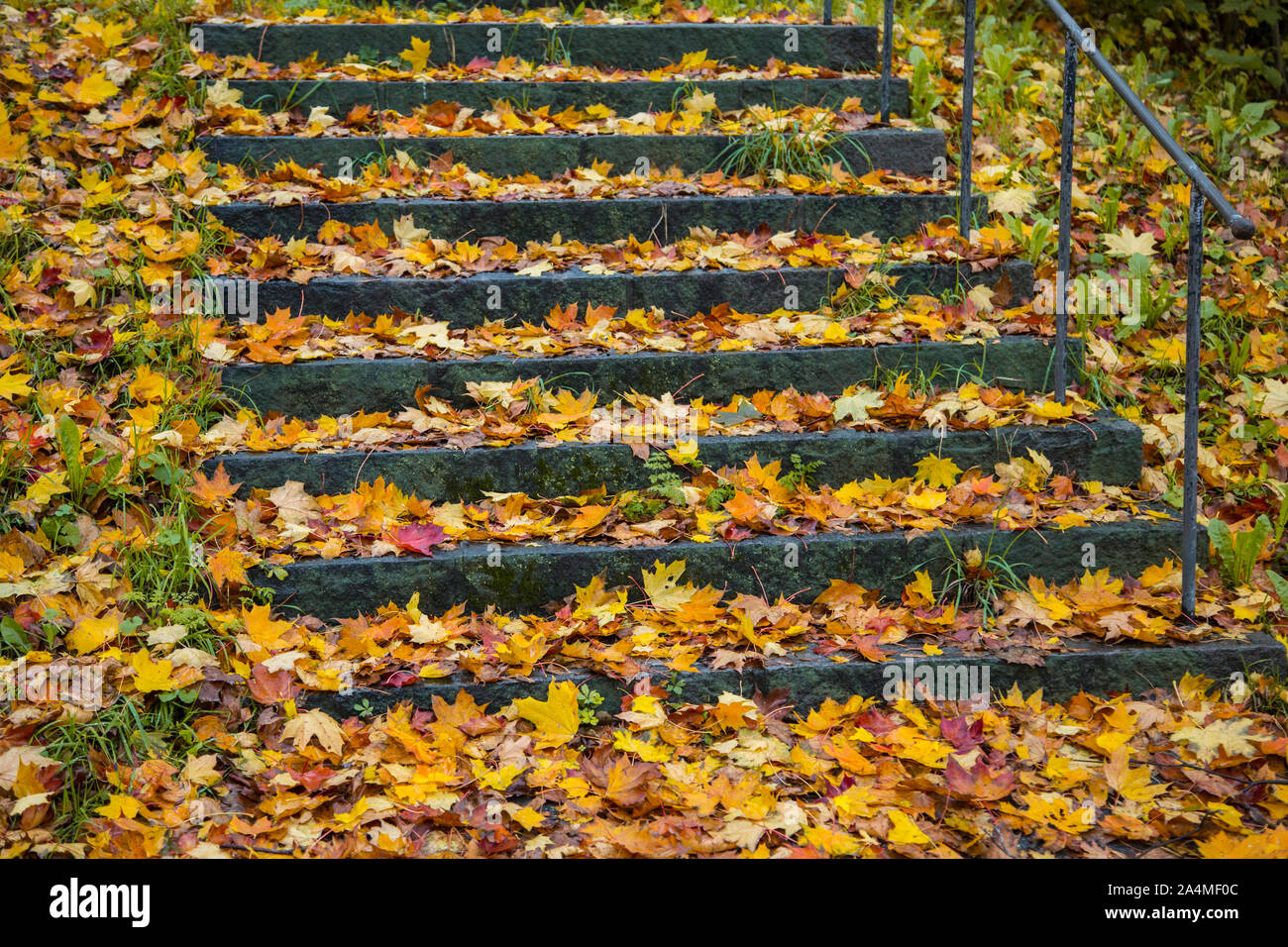 Autumn leaves on steps in park Stock Photo