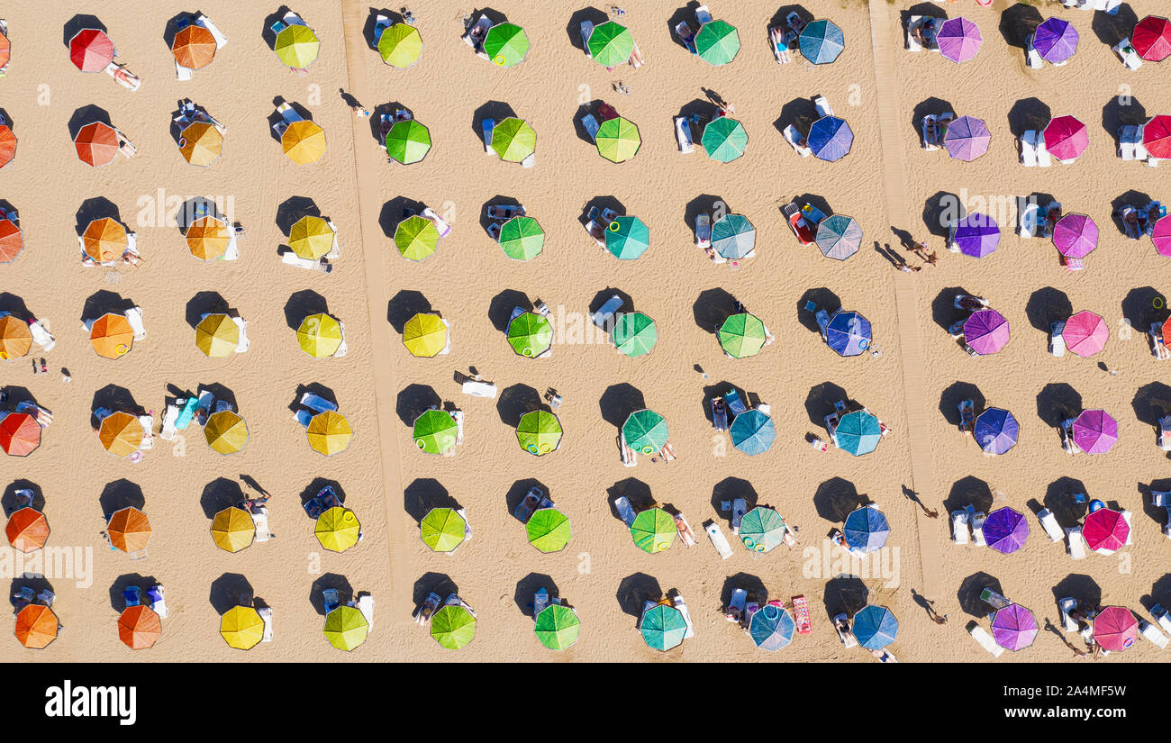 Aerial view to a sandy beach and sunshade with sunumbrellas. Stock Photo