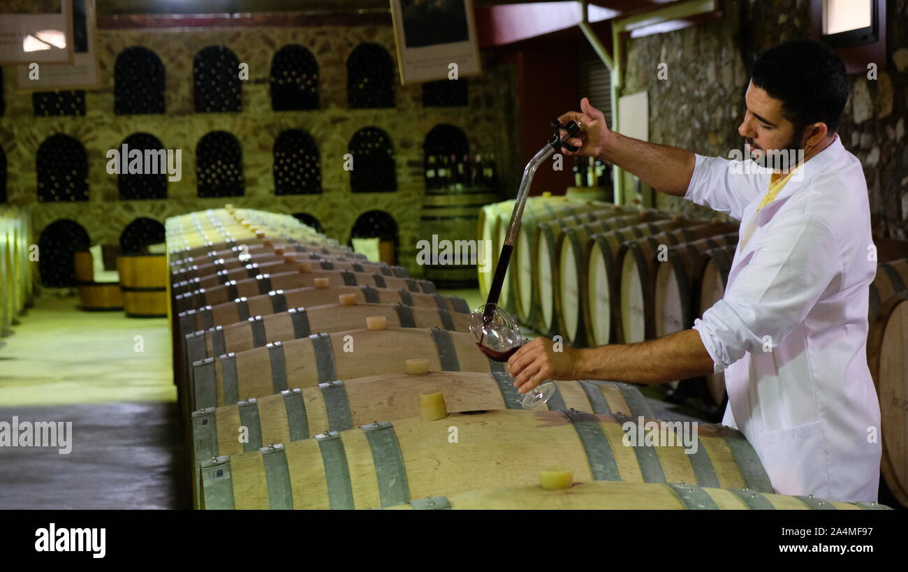 Rommani, Morocco. 11th Oct, 2019. A staff member of Morocco's agricultural company Red Farm checks the wine in Rommani, Morocco, Oct. 11, 2019. As Chinese consumers are looking for high-quality imported goods, China International Import Expo (CIIE) is undoubtedly a rare opportunity for Moroccan companies interested in expanding their exports, said Mamoun Sayah, general manager of Morocco's agricultural company Red Farm.TO GO WITH "Feature: Moroccan winery aims to expand Chinese market via 2nd import expo in Shanghai" Credit: Chen Binjie/Xinhua/Alamy Live News Stock Photo
