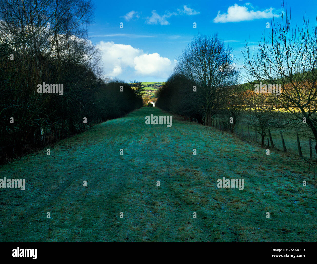 View NW from Old Pandy Mill along the embankment of the former Mold and Denbigh Junction Railway at Afon-wen, Flintshire, Wales, UK. Stock Photo