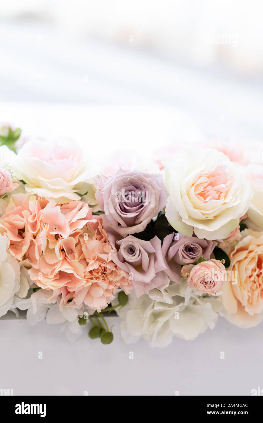 Luxurious Fresh Flowers On A White Background Beautiful Light Flower Wallpaper Stock Photo Alamy