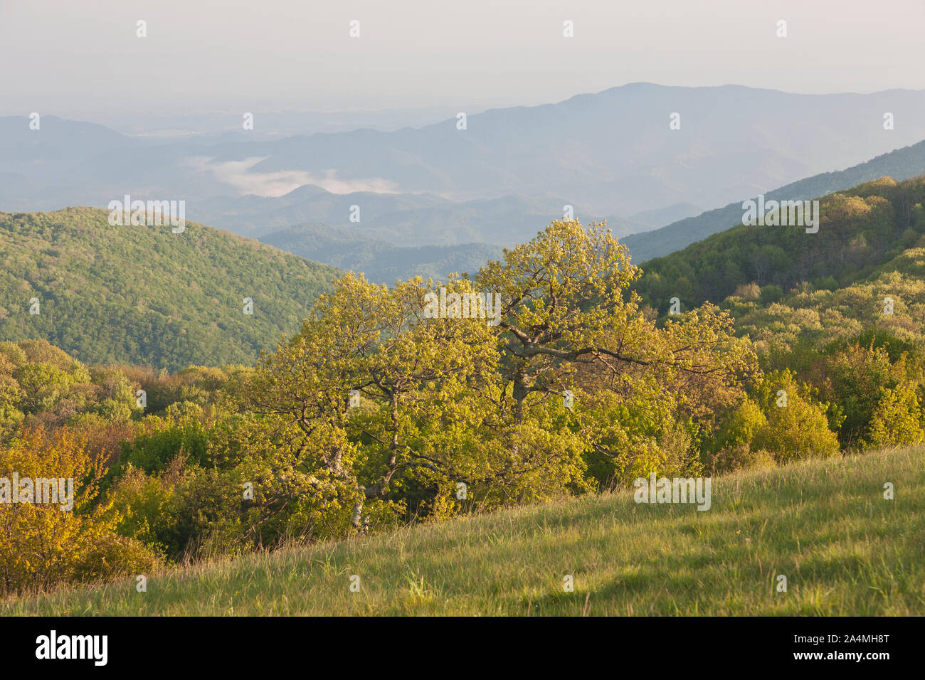 Horizontal landscape people hill hi-res stock photography and images ...