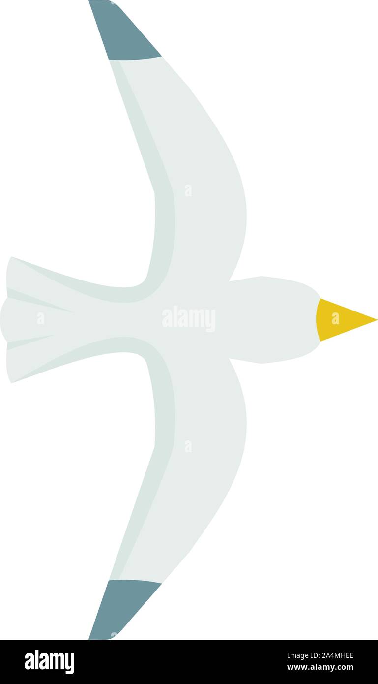 Seagull icon. Flat illustration of seagull vector icon for web design ...