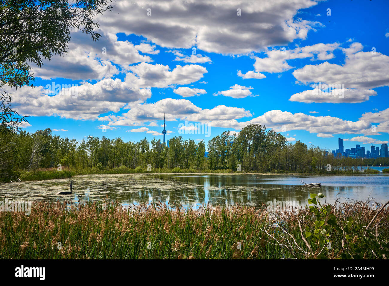 Toronto skyline from Tommy Thompson Park Stock Photo Alamy