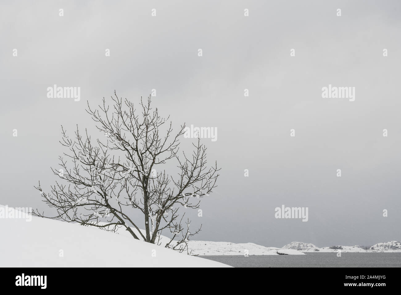 Horizontal landscape black hi-res stock photography and images - Alamy