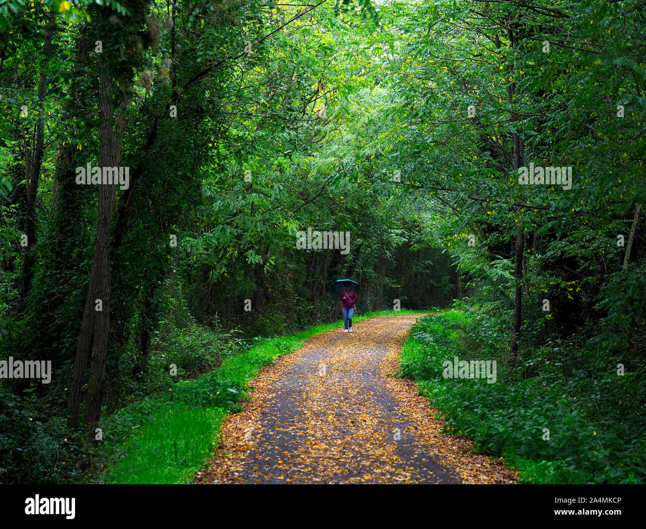 AULLA, LUNIGIANA, ITALY - OCTOBER 14, 2019: The Aulla Greenway is a cycle and pedestrian path making use of the old railway line. Escape into nature. Stock Photo