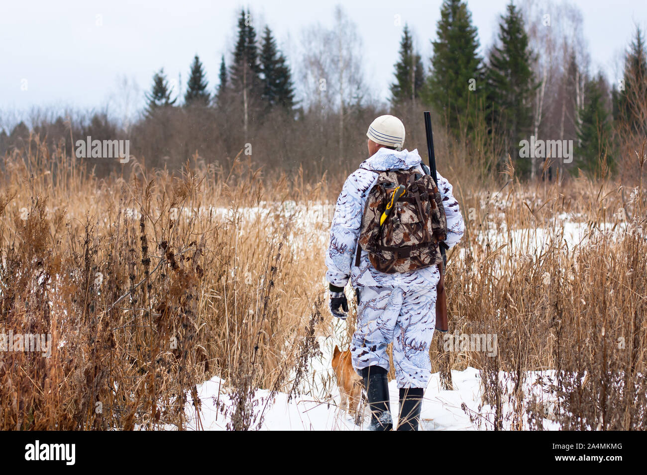 hunter with gun and dog on snowy field Stock Photo
