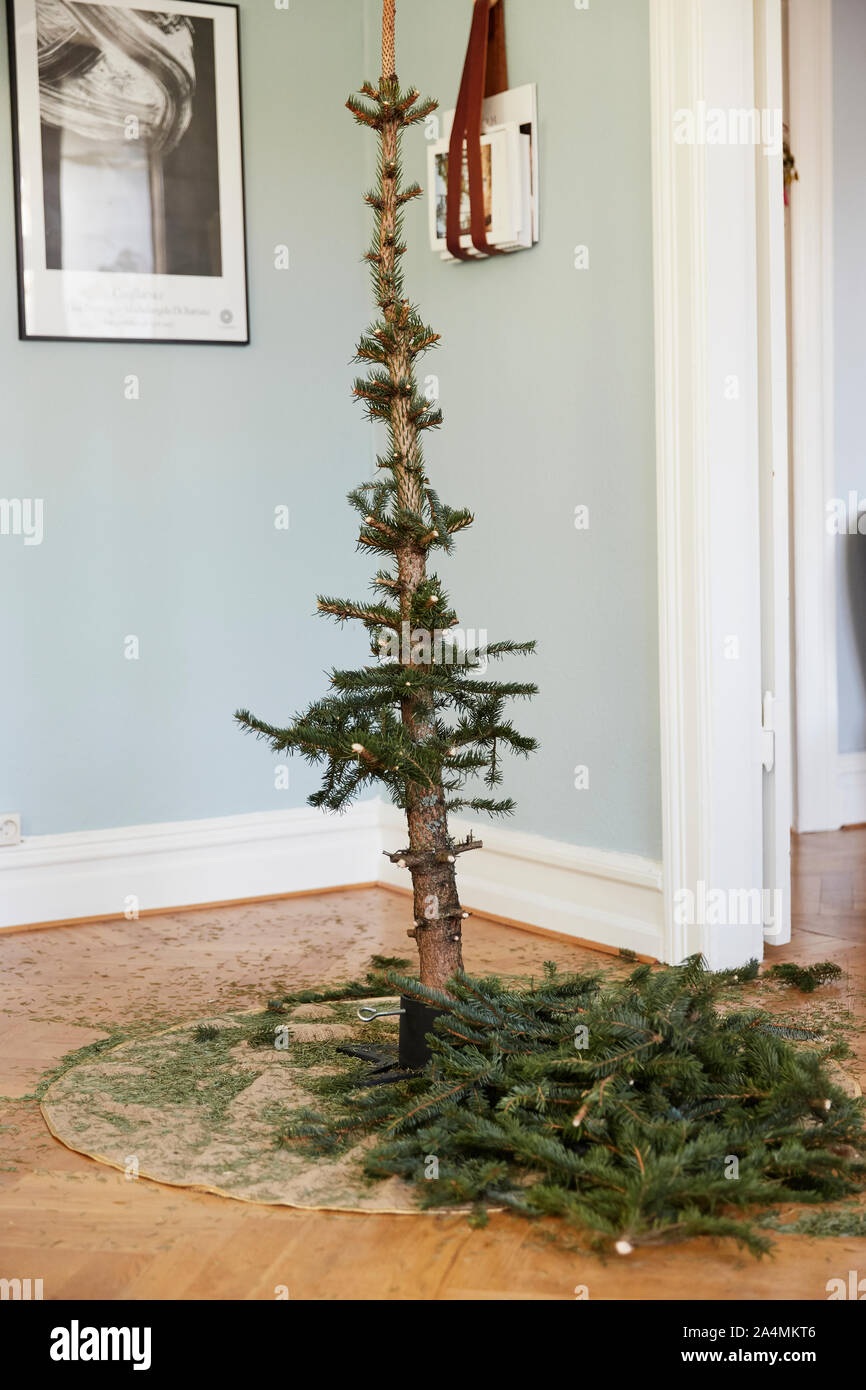 Dead Christmas tree Stock Photo - Alamy