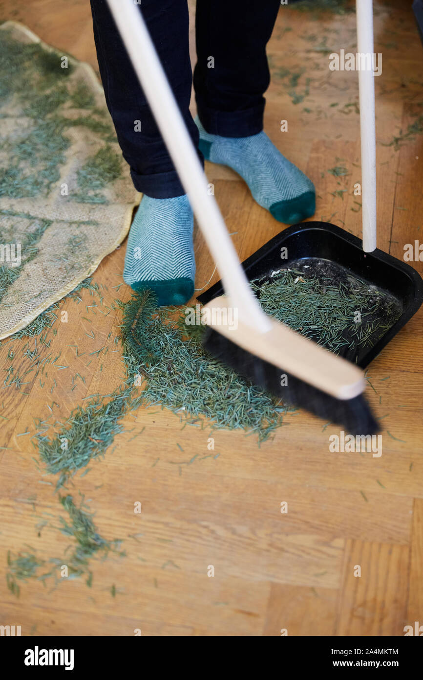 Cleaning Christmas tree needles Stock Photo Alamy