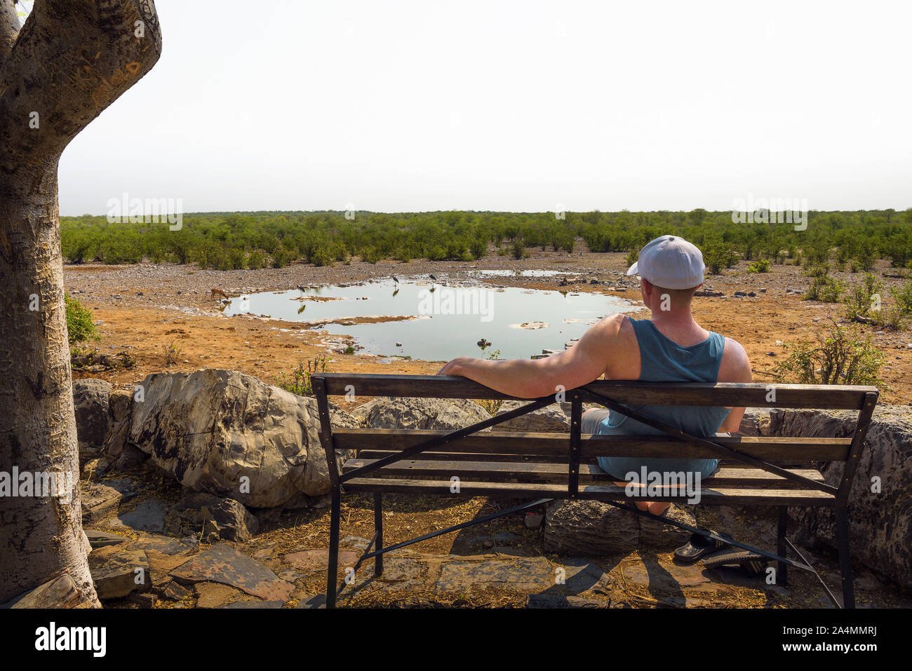 Tourist waits for wildlife at the Moringa waterhole near Halali, Etosha, Namibia Stock Photo