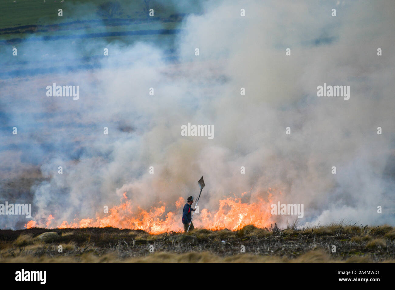 Farmer beating fire to control burning of heather [2] Stock Photo