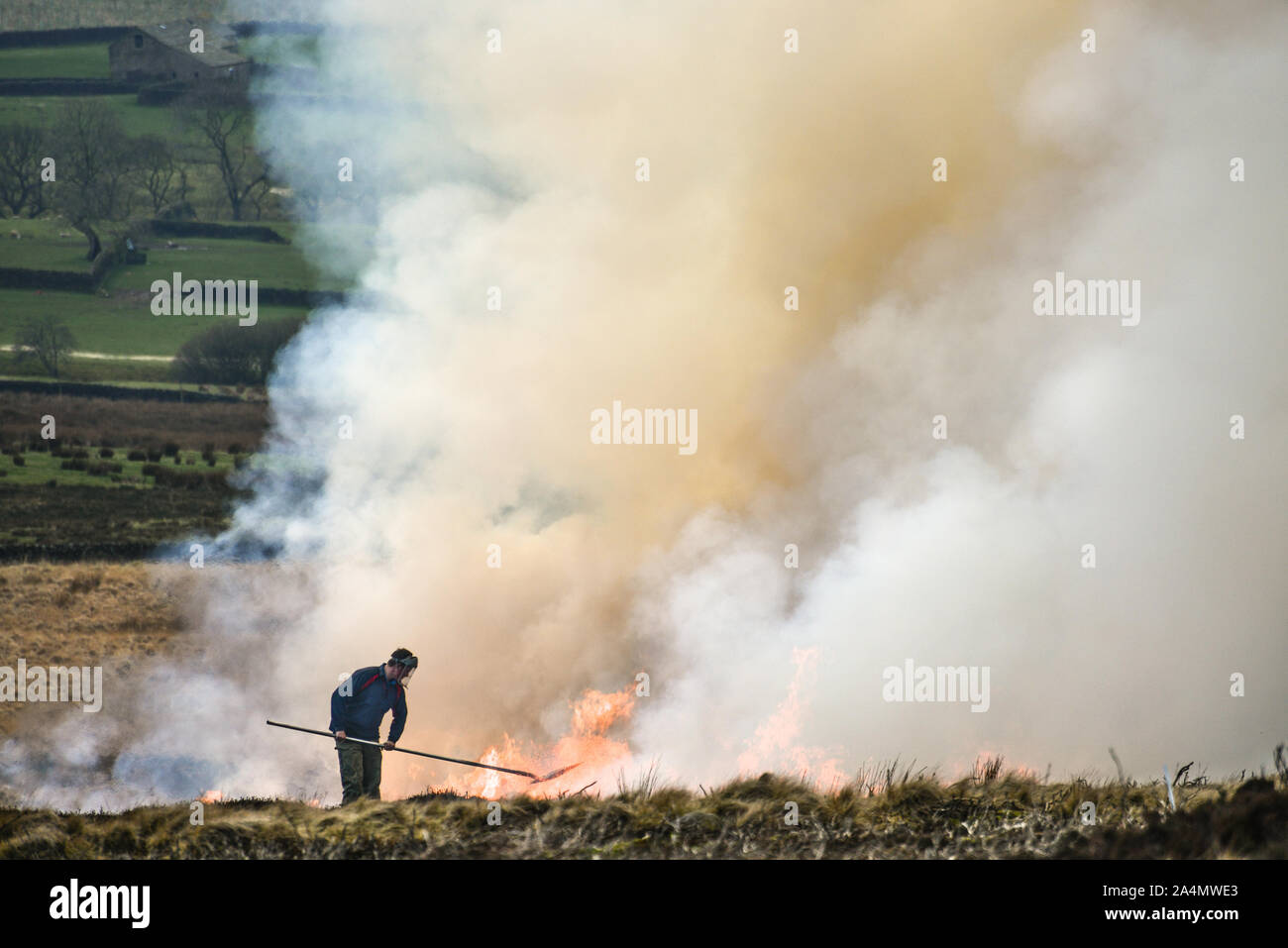 Farmer beating fire to control burning of heather [6] Stock Photo