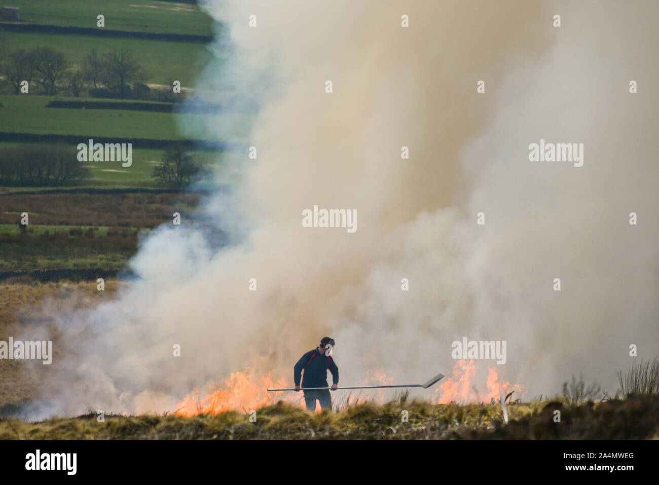 Farmer beating fire to control burning of heather [5] Stock Photo